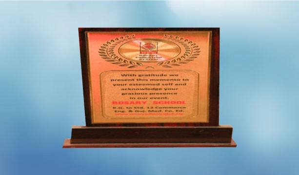 Award From Rosary School